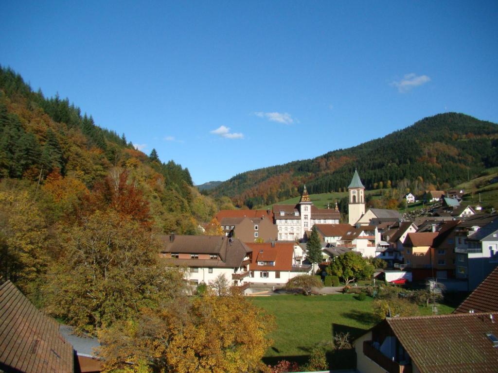 Hotel Hirsch Bad Peterstal-Griesbach Esterno foto