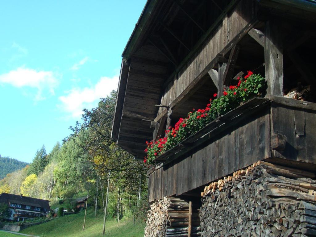 Hotel Hirsch Bad Peterstal-Griesbach Esterno foto