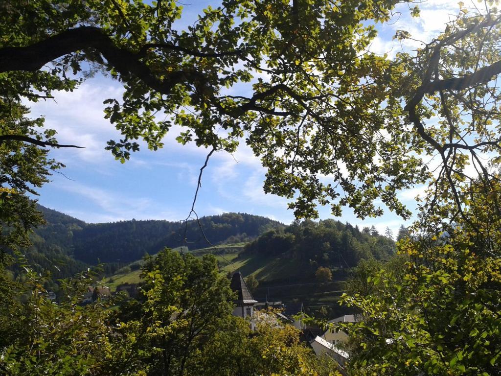 Hotel Hirsch Bad Peterstal-Griesbach Esterno foto